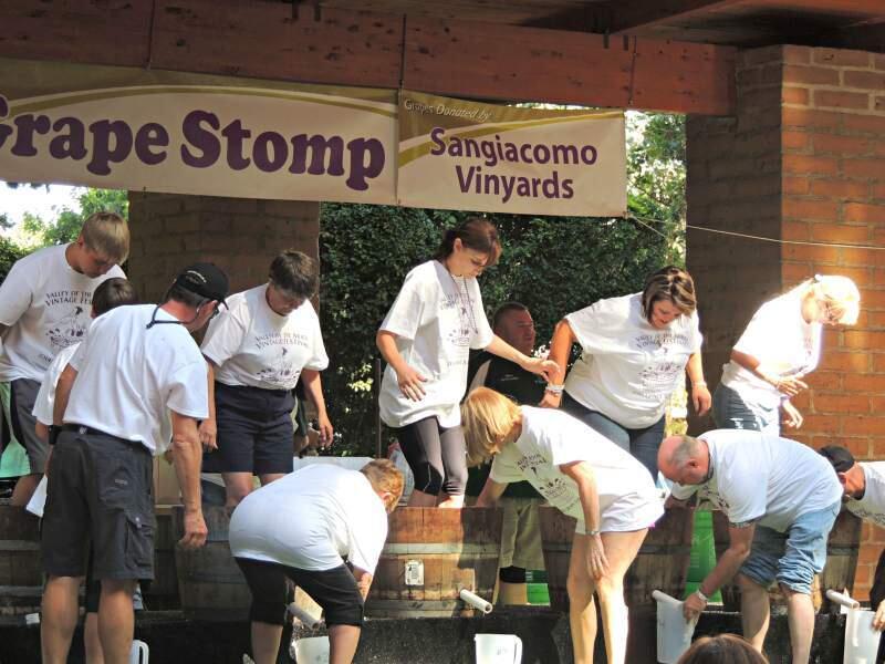 This is what's called 'getting your feet wet' in the wine industry - the Grape Stomp, a highlight of the Valley of the Moon Vintage Festival, now in its 119th year. (SIT file photo)