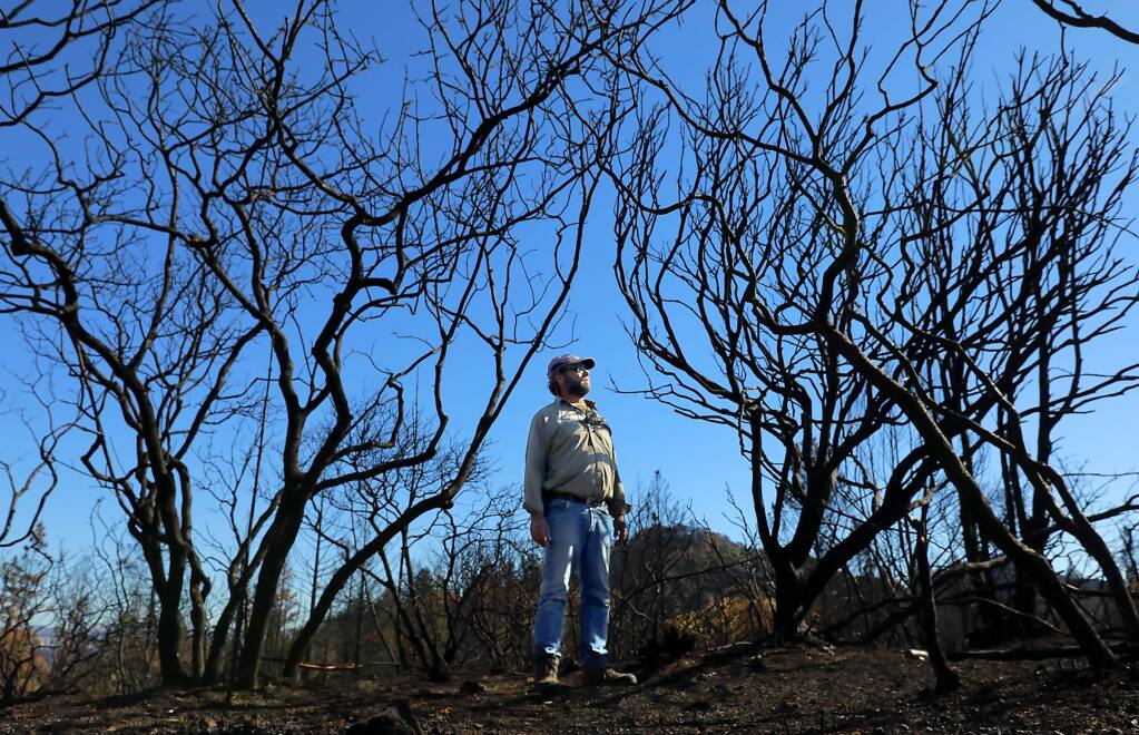 Pepperwood Preserve ranch manager Michael Gillogly survey the burned out remains of serpentine chaparral on the over 3,000 acre conservation and nature education property off Franz Valley Rd. (photo by John Burgess/The Press Democrat)