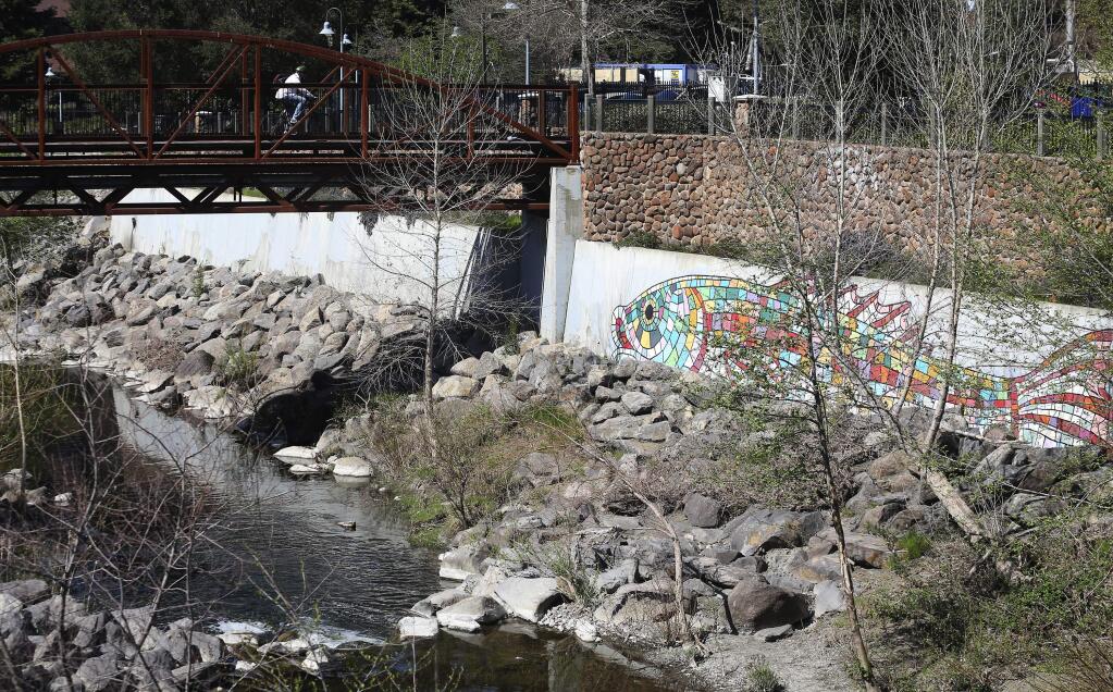 On the north bank of Santa Rosa Creek downtown, a large mural of a fish graces a concrete retaining wall along the Prince Memorial Greenway. (Christopher Chung / The Press Democrat)