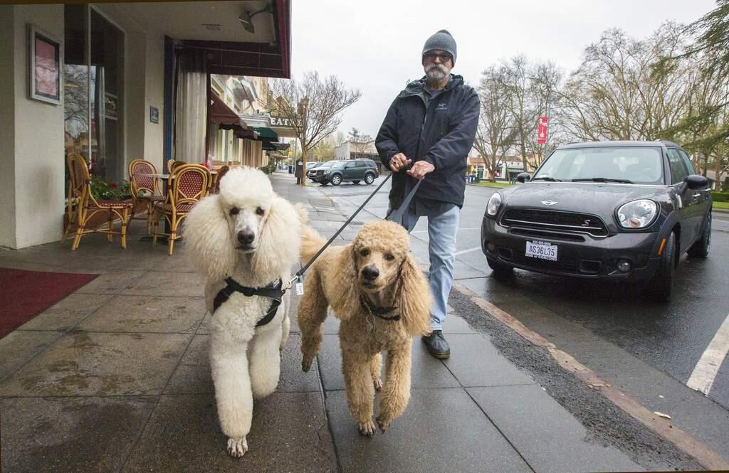 Professional dog walker John Lopez takes Lindy, left, and Harry out for a stroll down First Street East on Wednesday, Mar. 18, 2020. (Robbi Pengelly/Index-Tribu­ne)