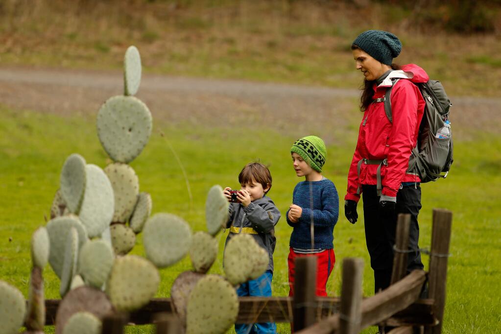 Young photographer Leon Kopp, 3, left, makes pictures of prickly pear cacti with friends Sean Marquis, 6, and Christina Marquis, right, during Green Friday at Jack London State Historic Park in Glen Ellen, California on Friday, November 25, 2016. (Alvin Jornada / The Press Democrat)