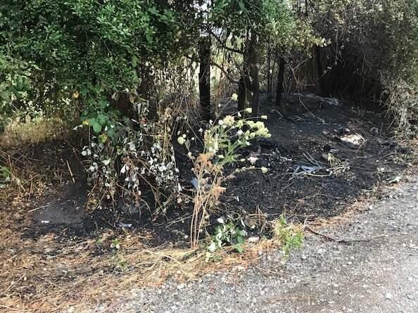 Fire from a homeless camp along Santa Rosa railroad tracks burned a small area of property near Dutton Avenue, Tuesday, July 25, 2017. (COURTESY OF SANTA ROSA ASSISTANT FIRE MARSHAL PAUL LOWENTHAL)