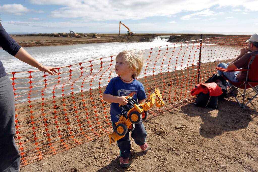 Finley Yassir, 2, carries his toy excavator while salt water flows inland after the real excavator behind him breached a levee to convert a 1,000-acre area back to its original state as a tidal marsh basin, at Sears Point Ranch near Sonoma, California, on Sunday, October 25, 2015. (Alvin Jornada / The Press Democrat)