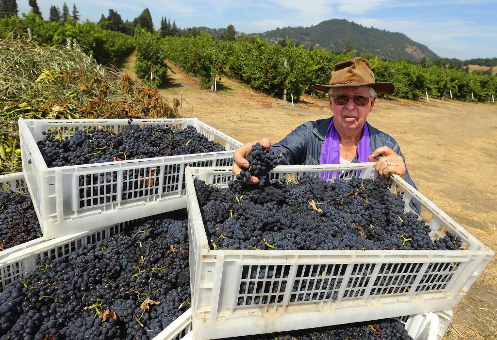 Grape grower Bob Dempel is letting his 1/2 ton of herbicide infected grapes dry out before adding them to the burn pile next to his Healdsburg vineyard. Dempel believes his grapes were sprayed with 3 different herbicide last March by a company hired by the . (JOHN BURGESS / The Press Democrat)