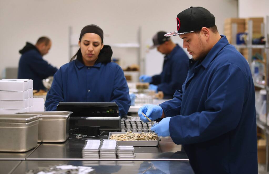 Carlos Monroy, right, and Adri Boracchia work on packaching Marley Natural brand whole flower pre-rolls at the Privateer Holdings cannabis processing facility, in Santa Rosa on Wednesday, September 13, 2017. (Christopher Chung/ The Press Democrat)