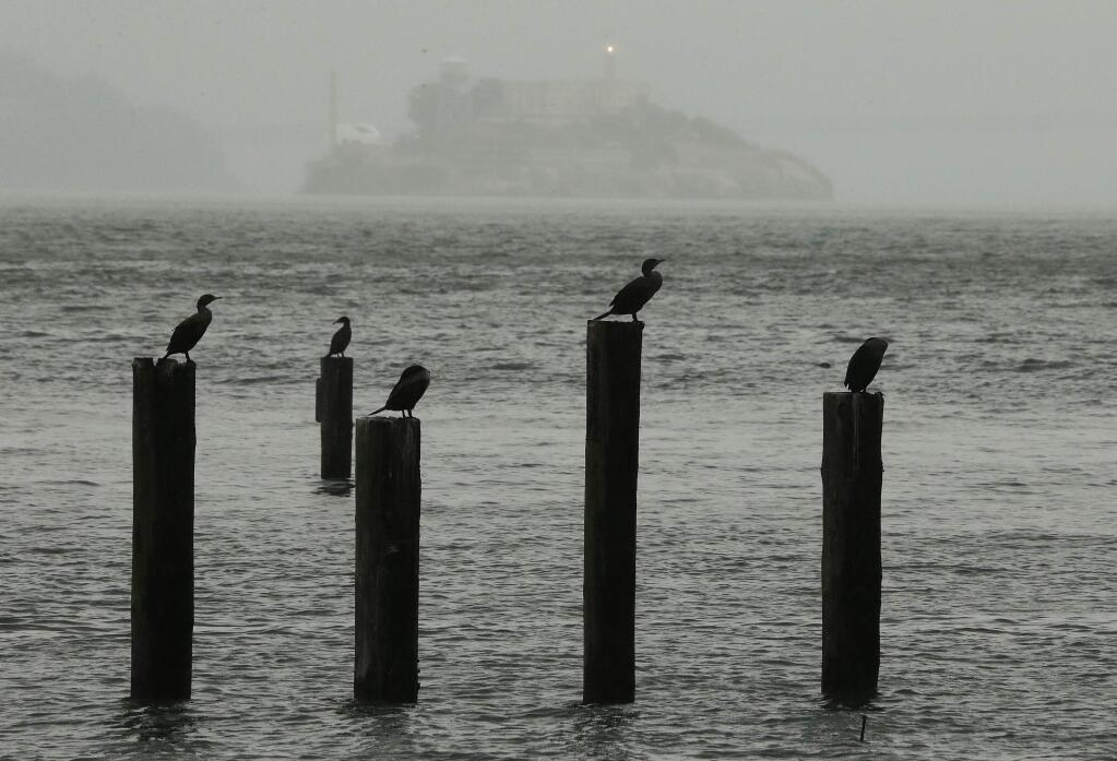Birds sit on the remains of an old pier during a high tide with Alcatraz Island in the background on Tuesday, Nov. 24, 2015, in Sausalito, Calif. More showers are expected into early Wednesday and added snowfall is expected in the Sierras. (AP Photo/Eric Risberg)