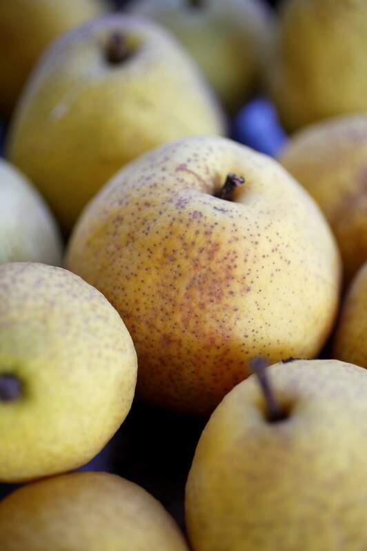 Freshly picked pears from a backyard in Healdsburg. (Beth Schlanker/ The Press Democrat)