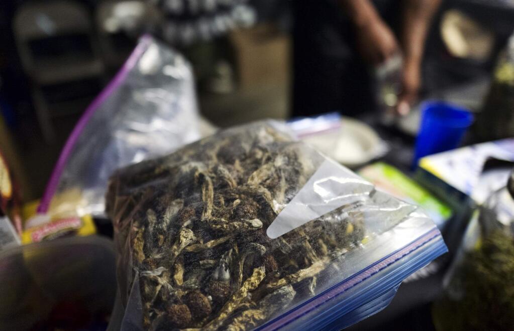 A vendor bags psilocybin mushrooms at a pop-up cannabis market in Los Angeles on Monday, May 6, 2019. Voters decide this week whether Denver will become the first U.S. city to decriminalize the use of psilocybin, the psychedelic substance in 'magic mushrooms.' (AP Photo/Richard Vogel)