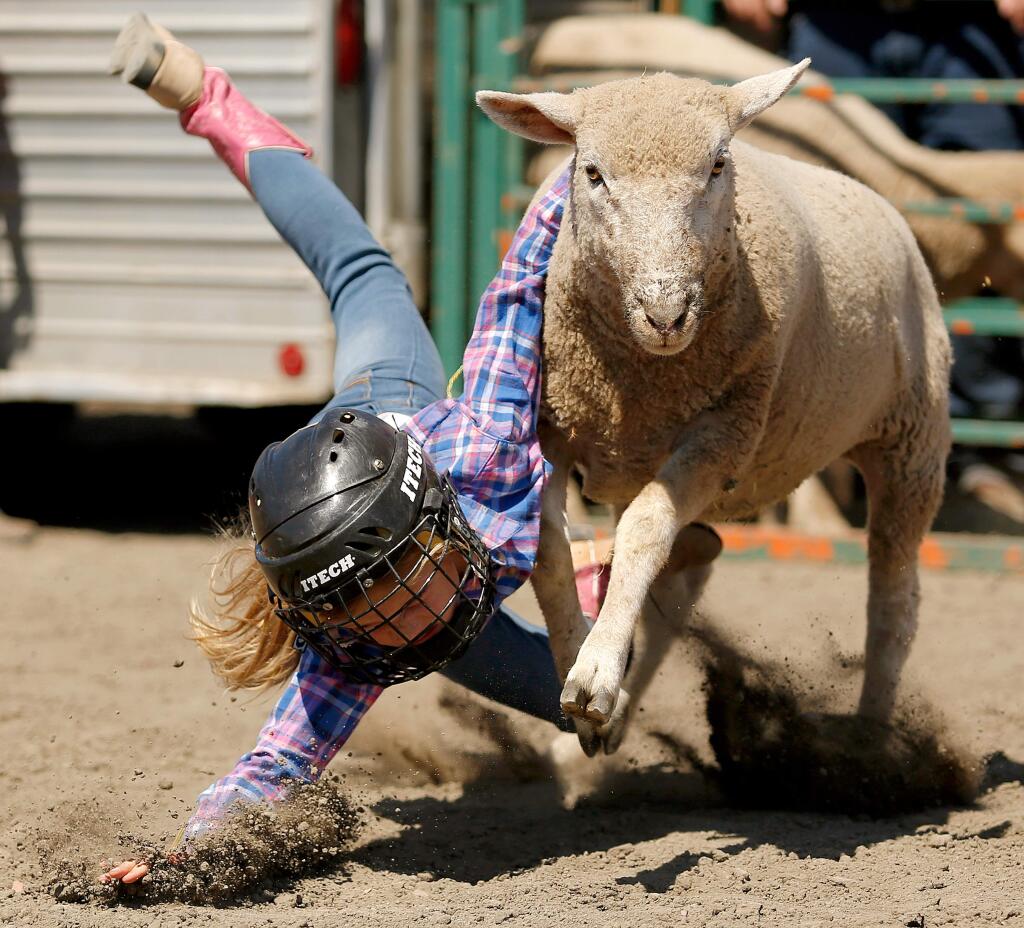Audrey Clark loses her grip on her sheep while competing in the mutton bustin' event during Farmer's Day at the Sonoma County Fair in Santa Rosa, California, on Sunday, Aug. 6, 2017. (Alvin Jornada / The Press Democrat)