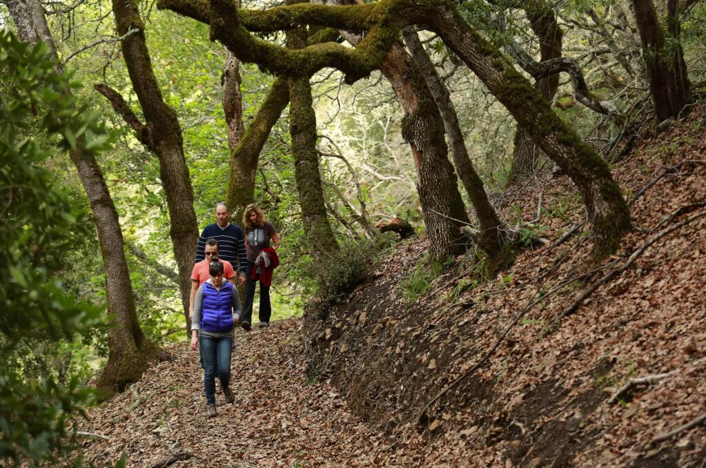 The new North Sonoma Mountain Regional Park and Open Space Preserve. (Photo by John Burgess/The Press Democrat)