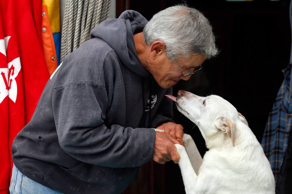 Dick Ogg, captain of the fishing boat Karen Jeanne, gets a kiss from his dog Buster while waiting to offload his cargo of Dungeness crab at the Tides Wharf in Bodega Bay, California, on Thursday, December 20, 2018. (Alvin Jornada / The Press Democrat)
