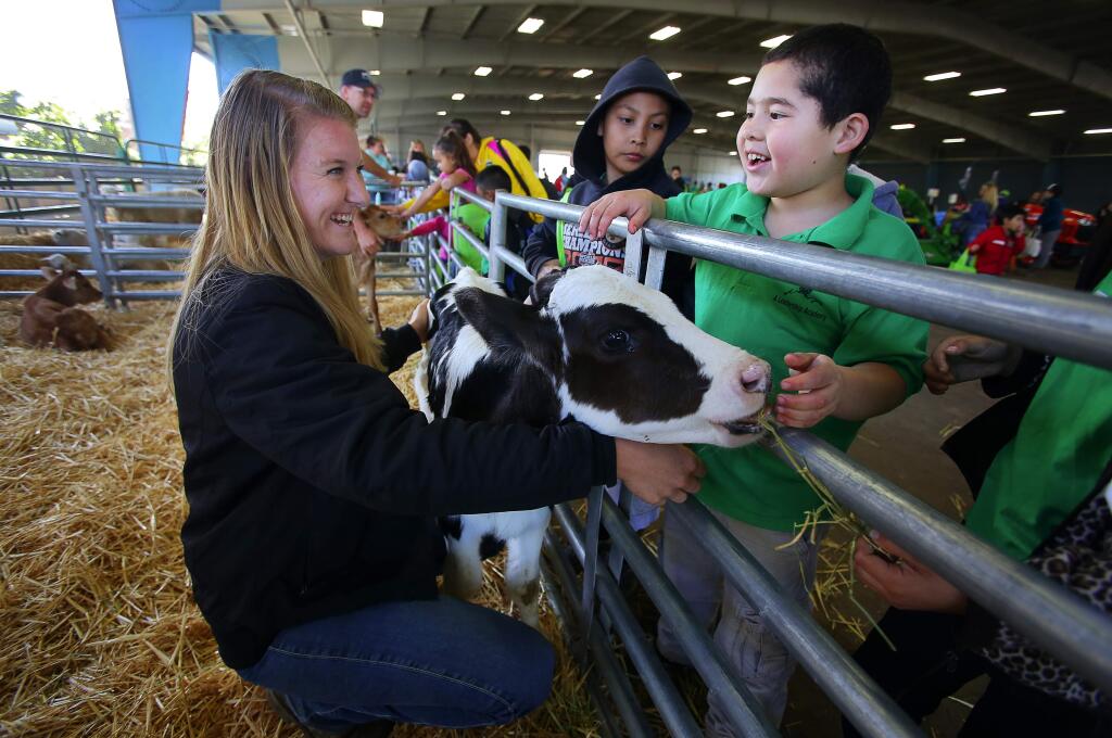 Jennifer Beretta, left, of Beretta Family Dairy, lets Roseland Elementary School second-grader Francisco Mora feed a one-month-old Holstein calf during the Sonoma County Farm Bureau's Ag Days, at the Sonoma County Fairgrounds in Santa Rosa, on Tuesday, March 15, 2016. (Christopher Chung/ The Press Democrat)