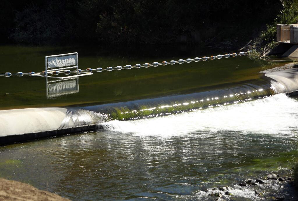 The Sonoma County Water Agency currently has an inflatable dam at the Westside Road facility on the Russian River. The agency will build a modern dam and a fish ladder on the site. (John Burgess / PD)