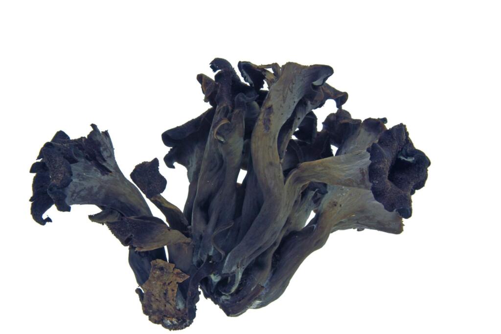 Black trumpet mushrooms