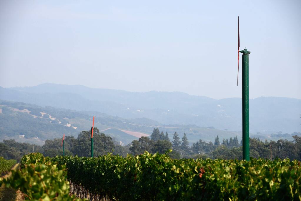 The Mayacamas Mountains, seen from St. Francis Winery's Wild Oak Estate vineyard, are obscured by haze above Santa Rosa on August 15, 2015. (Alvin Jornada / The Press Democrat)