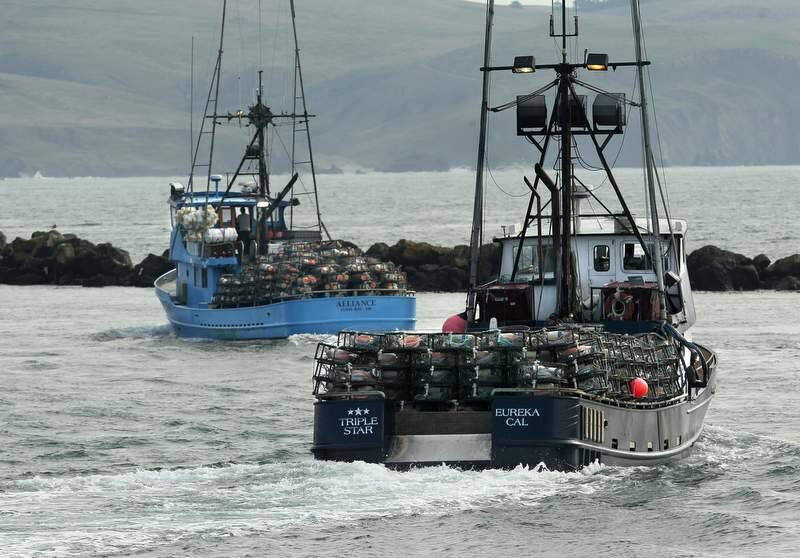 (PD file photo) Crab boats from the Spud Point Marina head out of Bodega Bay to set their pots on November 28, 2011.