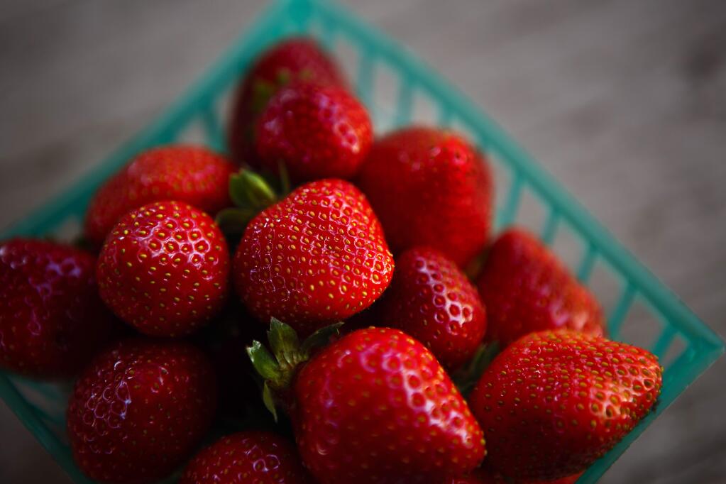 Strawberries will be in season all summer. Photo by Chris Hardy.