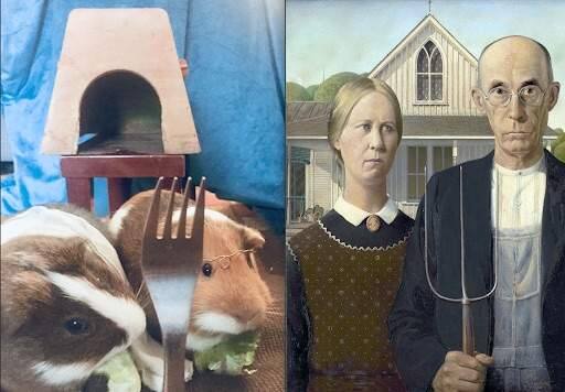 Adelina Heath, sophomore at Santa Rosa High, recreated Grant Wood's 'American Gothic' (1930), right, with her pet guinea pigs. (Adelina Heath)