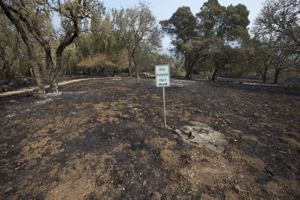 Charred ground at the Bouverie Preserve. (Photo by Robbi Pengelly/Index-Tribune)