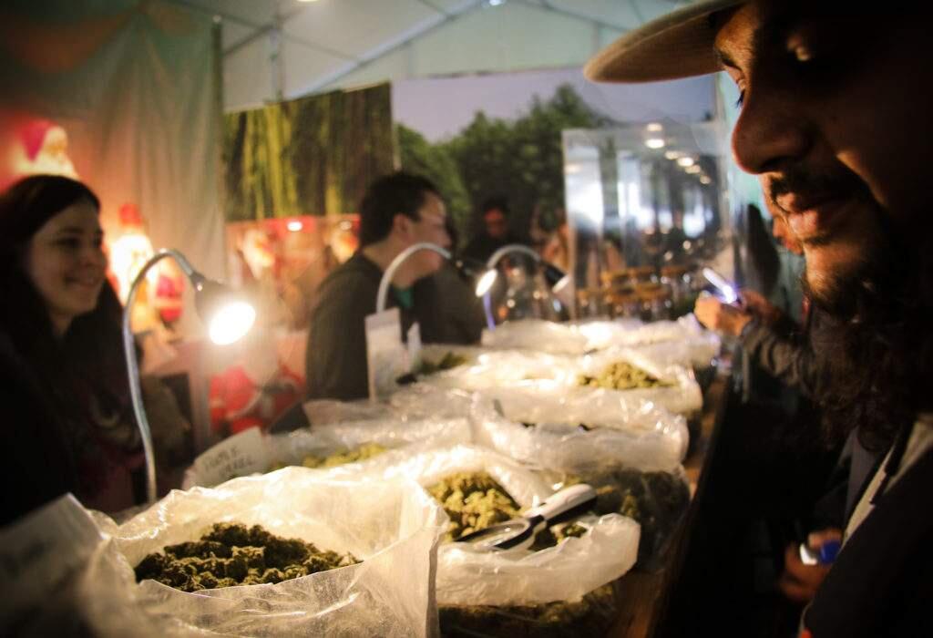 The 2017 Emerald Cup in Santa Rosa California celebrates cannabis culture on the North Coast of California. (Heather Irwin/The Press Democrat)