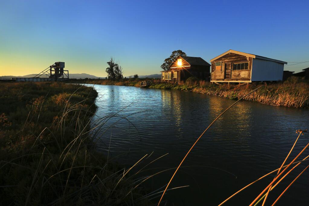 In the 1950s and 1960s residency dropped, but the hamlet was still visited. According to locals, when Sonoma Valley High School students said they were going to, 'Watch the boat races at Wingo,' it really meant they were going to 'park in the dark.' (Photo by John Burgess/ The Press Democrat, 2015)