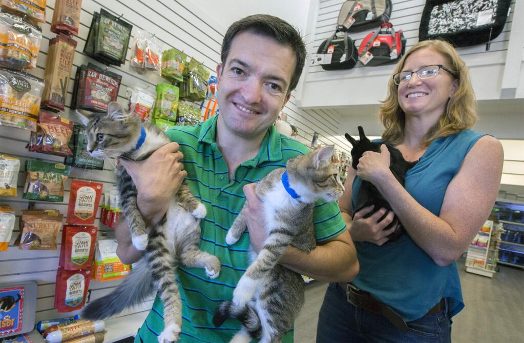 Eric and Lauren Warddrip are the new proprietors of the Sonoma Pet Center in the Marketplace shopping center on Second St. West. The two kittens, Sue and Cash, are from Pets Lifeline and are adoptable. Lauren holds a rabbit named Annie. (Photo by Robbi Pengelly/Index-Tribune)