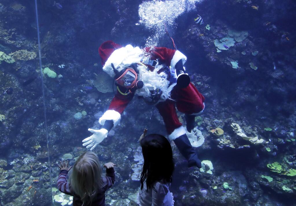 Volunteer diver George Bell, dressed as Santa Claus, waves to children after speaking inside the Philippine Coral Reef tank at The California Academy of Sciences in San Francisco, Thursday, Dec. 13, 2018. The California Academy of Sciences launched its holiday festivities Thursday by having a diver dressed as Santa Claus submerge into a coral reef exhibit while dozens of children watched from behind the glass. (AP Photo/Jeff Chiu)