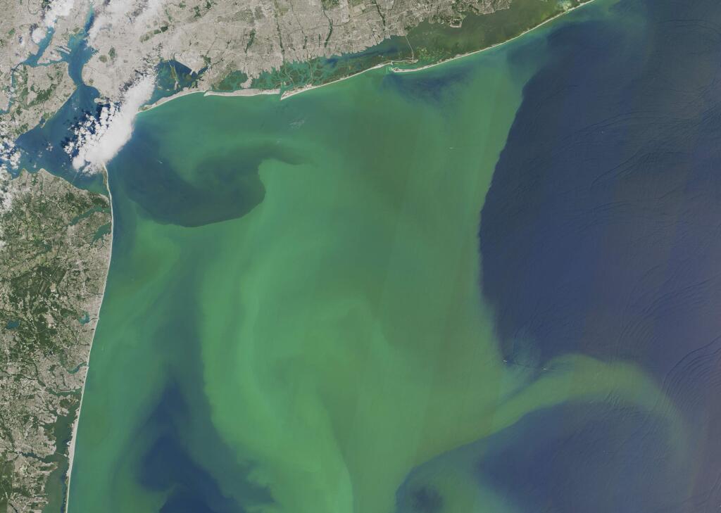 In this image provided by NASA, taken Aug. 3, 2015, phytoplankton is seen off the coast of New York, top and New Jersey, left. A new study projects that global warming's increased rains will mean more nitrogen flowing into U.S. waterways, which can then trigger more massive blooms of algae, floating green mats, and dead zones with almost no oxygen. This handout NASA satellite photo shows a large bloom of phytoplankton off the New York and New Jersey coast in August 2015. (NASA via AP)