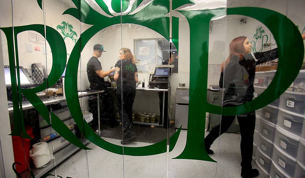 River City Phoenix employees fill orders for medical marijuana patients, Friday Nov. 18, 2016 in Sacramento. RCP is a union shop under the UFCW and pay above minimum wage. (Kent Porter / The Press Democrat) 2016