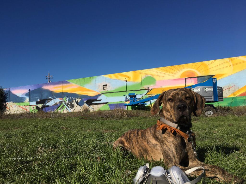 Petaluma artist Ryan Petersen's dog, Winston, sits in front of a mural the artist is painting at Steamer Landing Park. RYAN PETERSEN