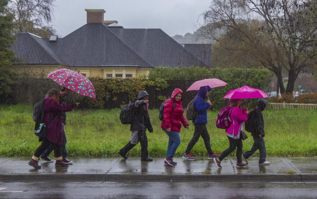 Don't put away those umbrellas: More rain expected to hit Sonoma County midweek. (Photo by Robbi Pengelly/Index-Tribune)