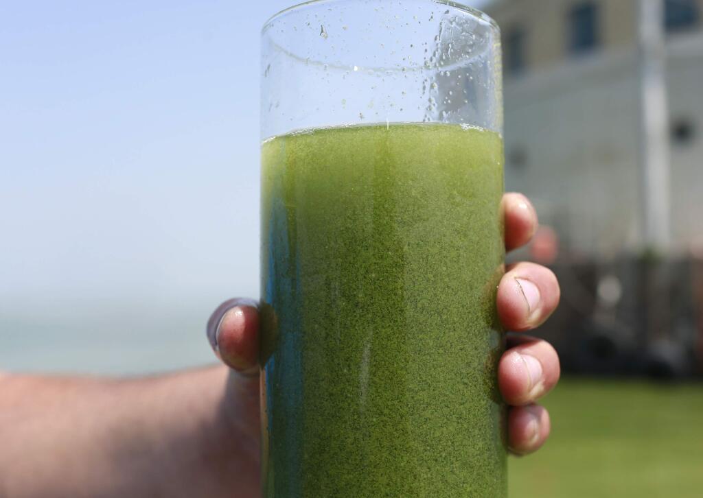 FILE - In this Aug. 3, 2014 file photo, a sample glass of Lake Erie water is photographed near the City of Toledo water intake crib on Lake Erie, off the shore of Curtice, Ohio. Researchers and officials across the country say increasingly frequent toxic algae blooms are another bi-product of global warming. They point to looming questions about their effects on human health. (AP Photo/Haraz N. Ghanbari, File)
