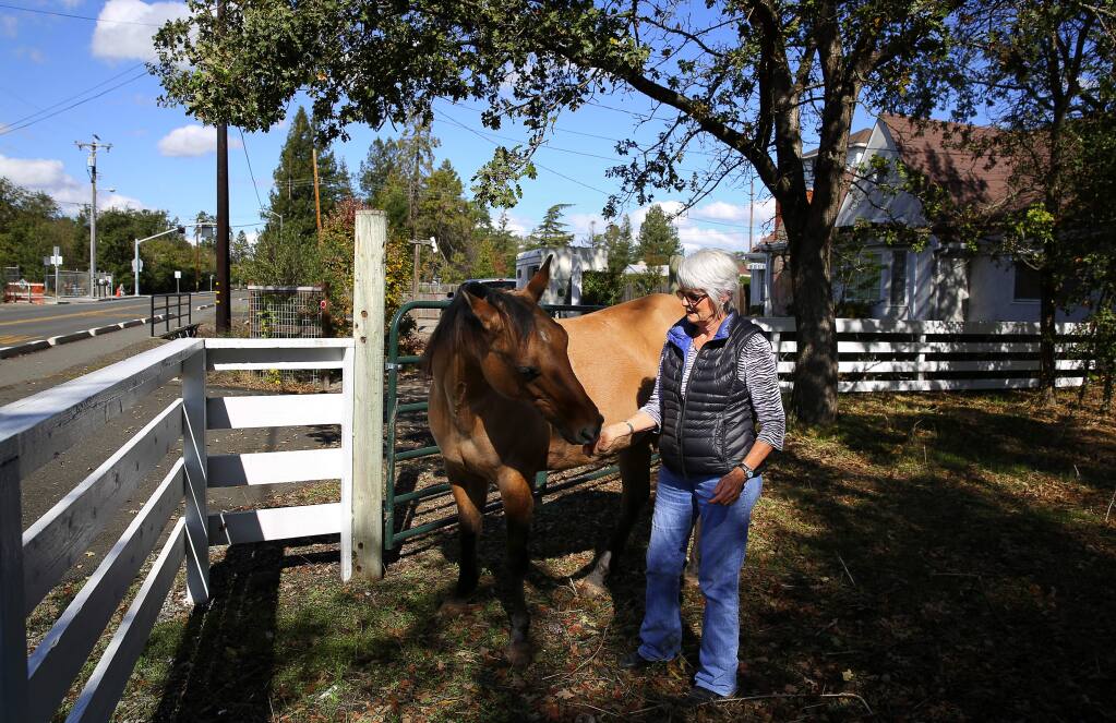 Linn Eikenberry feeds carrots to her horse, Cricket, at her home along Burbank Avenue, in the unincorporated Roseland area, where she's lived since 1974, on Wednesday, October 26, 2016. (Christopher Chung/ The Press Democrat)