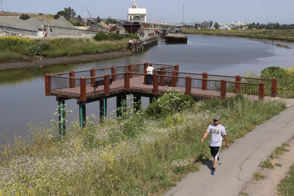 With the Petaluma River at low tide and a gravel barge aground in the background a man walks on the path at Shollenberger Park on Tuesday, May 5, 2015. (SCOTT MANCHESTER/ARGUS-COURIER STAFF)