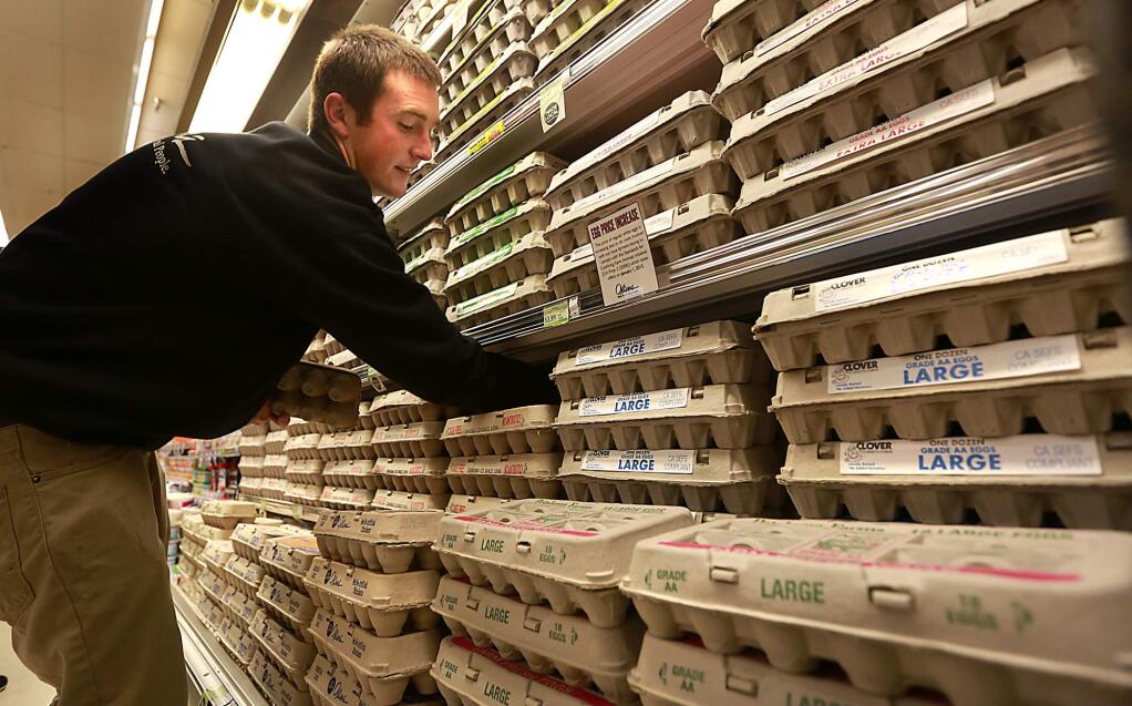 Oliver's dairy manager Blayne Larson stocks the wide selection of eggs in their Stony Pt. Rd. store in Santa Rosa. (photo by John Burgess/The Press Democrat)