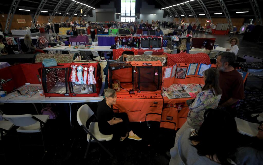 The Call of the Wild Cat Fanciers cat show in the Grace Pavilion at the Sonoma County Fairgrounds in Santa Rosa, Sunday, Feb. 16, 2020. (Kent Porter / The Press Democrat) 2020