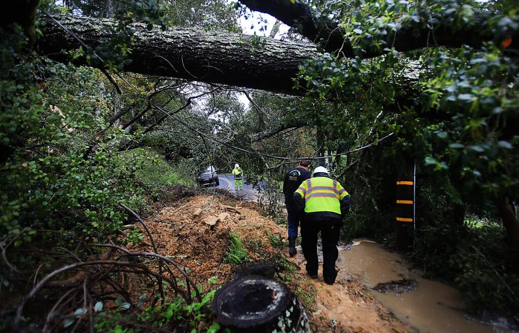 Tree and utility personnel inspect a huge chunk of a hillside, complete with trees, that slid and blocked Occidental Road and Green Hill Road, Friday March 11, 2016. (Kent Porter / Press Democrat ) 2016