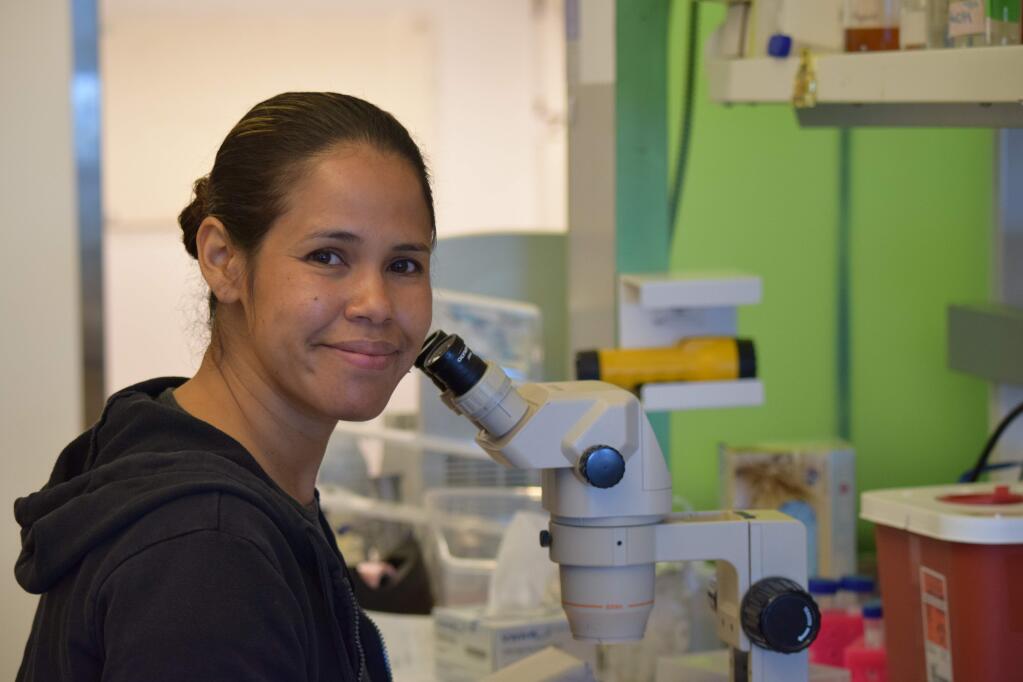 Karla Mark, postdoctoral researcher at Buck Institute, studies the life extension enjoyed by C. elegans worms given vitamin D. (James Dunn, The Business Journal)