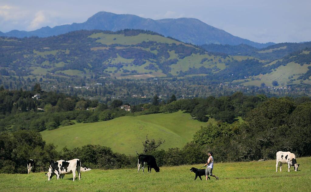 Will Jaffe takes his dog Ziggy for a walk at Taylor Mountain Regional Park in Santa Rosa, Wednesday, April 18, 2018, with a view of Mt. St. Helena in the background. Sonoma County has been named, for the fifth year in a row, as having some of the cleanest air in California. (Kent Porter / The Press Democrat) 2018