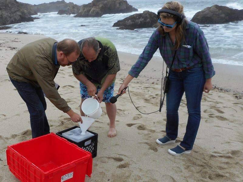 Marine chemist Ken Buesseler, left, and Dan Sythe of Sebastopol-based International Medcom collect a seawater sample in June at Bodega Head . KRCB radio reporter Danielle Venton is at right. (COURTESY PHOTO)