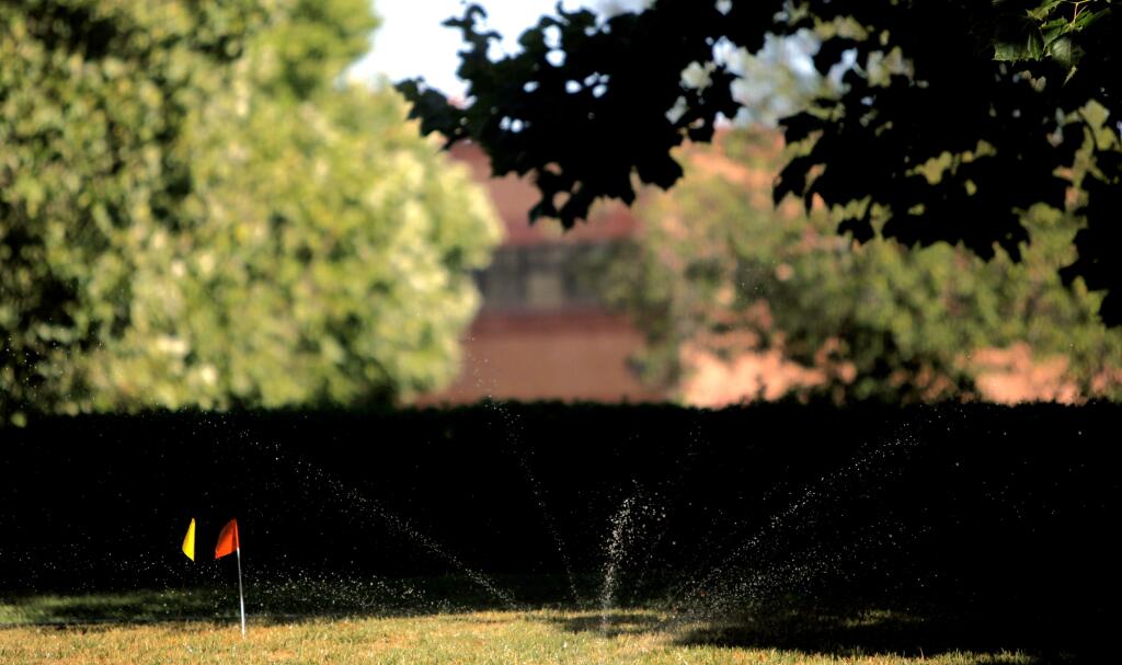 Petaluma, CA, USA. Thursday, July 07, 2016._ The Kaiser Permanente campus in Petaluma has a new agreement to get recycled water to use on their landscape. (CRISSY PASCUAL/ARGUS-COURIER STAFF)