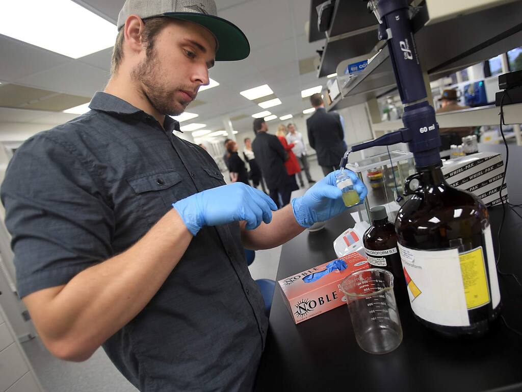 Analyst Kevin Nolan uses a methanol chloroform mixture to help extract cannabinoids from marijuana at CannaCraft in Santa Rosa on Wednesday, Dec. 14, 2016. (Kent Porter / The Press Democrat)