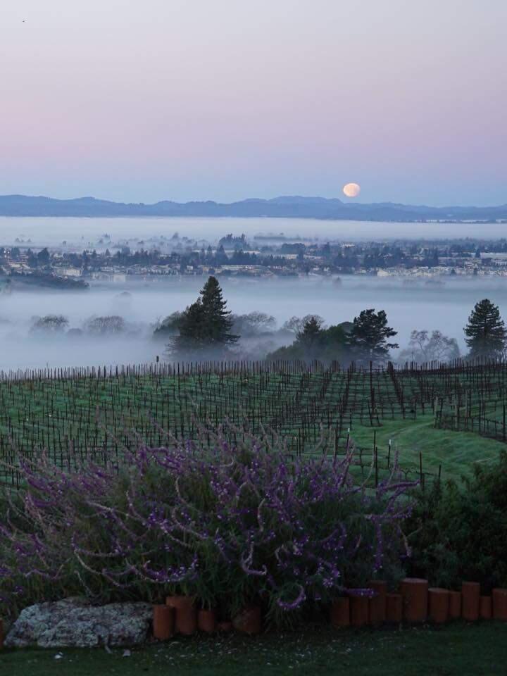 The view of the super blood moon from Hummingbird Hill Vineyard in Santa Rosa on Wednesday morning, Jan. 31, 2018. (Photo: courtesy of Derek Marshall)