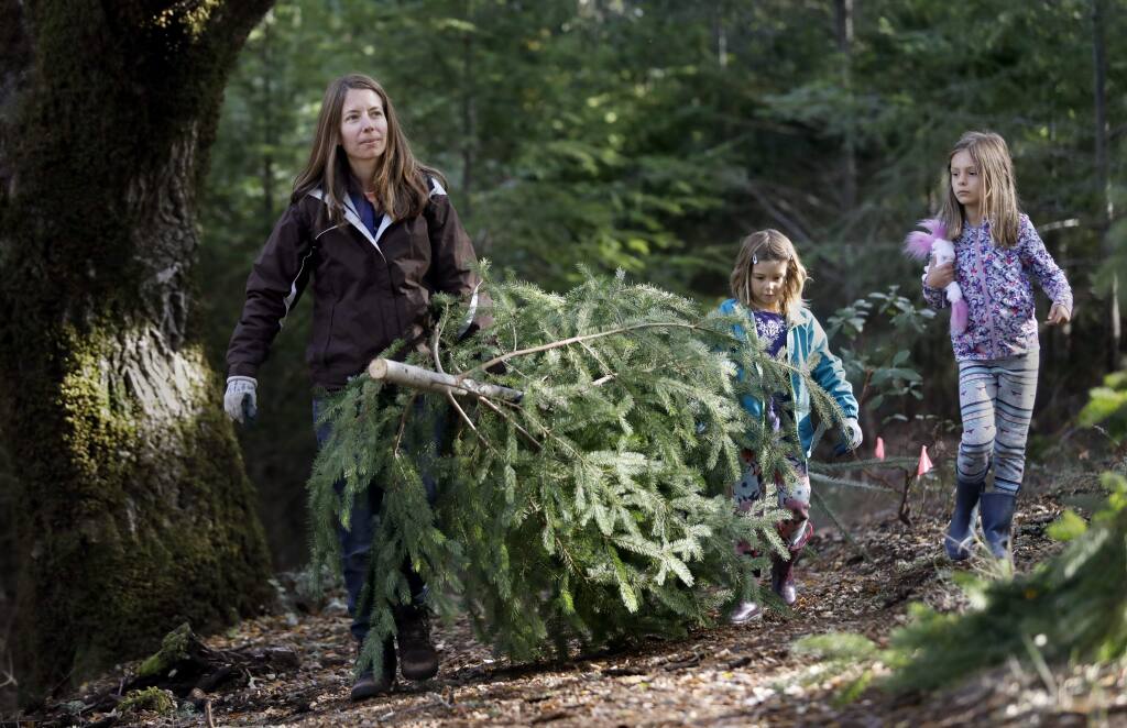 Melissa DeForest hauls out her recently cut Douglas fir tree with her daughters Avery, 5, and Kaitlyn, 7, as part of 'The Great Charlie Brown Christmas Tree Hunt' hosted by LandPaths at Riddell Preserve west of Healdsburg on Sunday, December 2, 2018. (BETH SCHLANKER/ The Press Democrat)