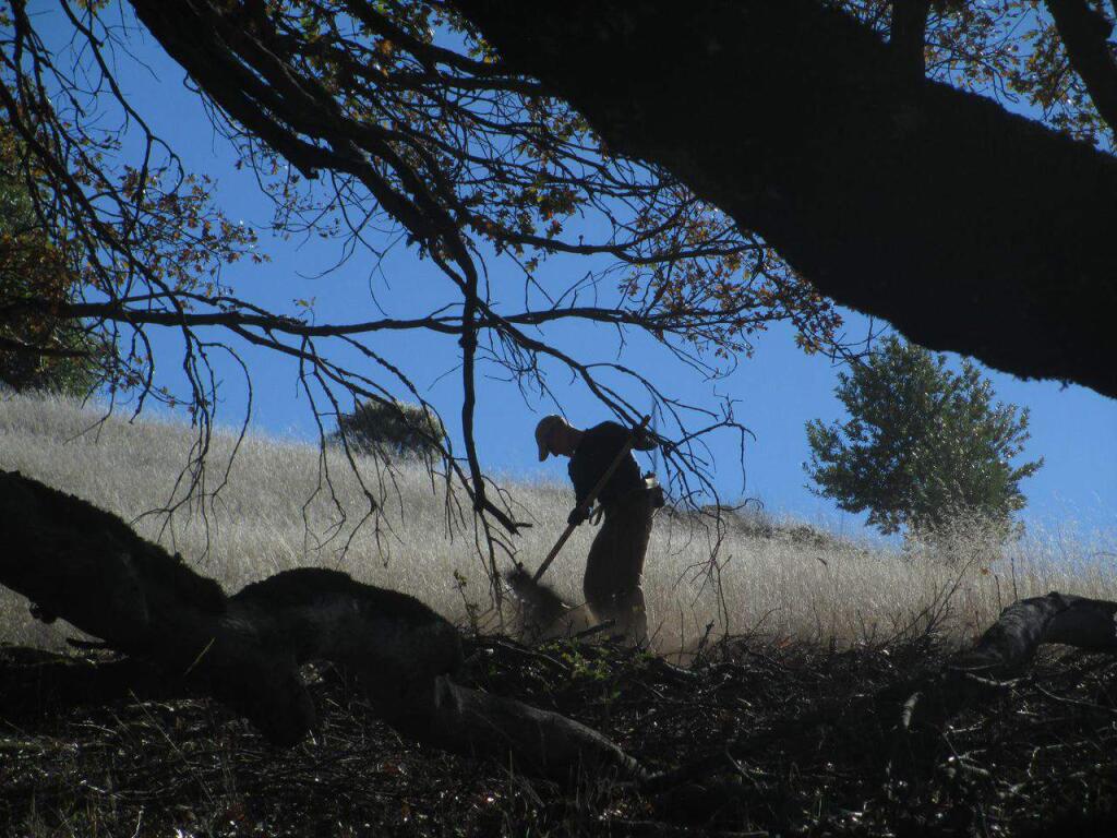 Photo by Sara Press, courtesy of Sonoma County Agricultural Preservation and Open Space DistrictA lone volunteer works on the new trail at Jack London State Historic Park.
