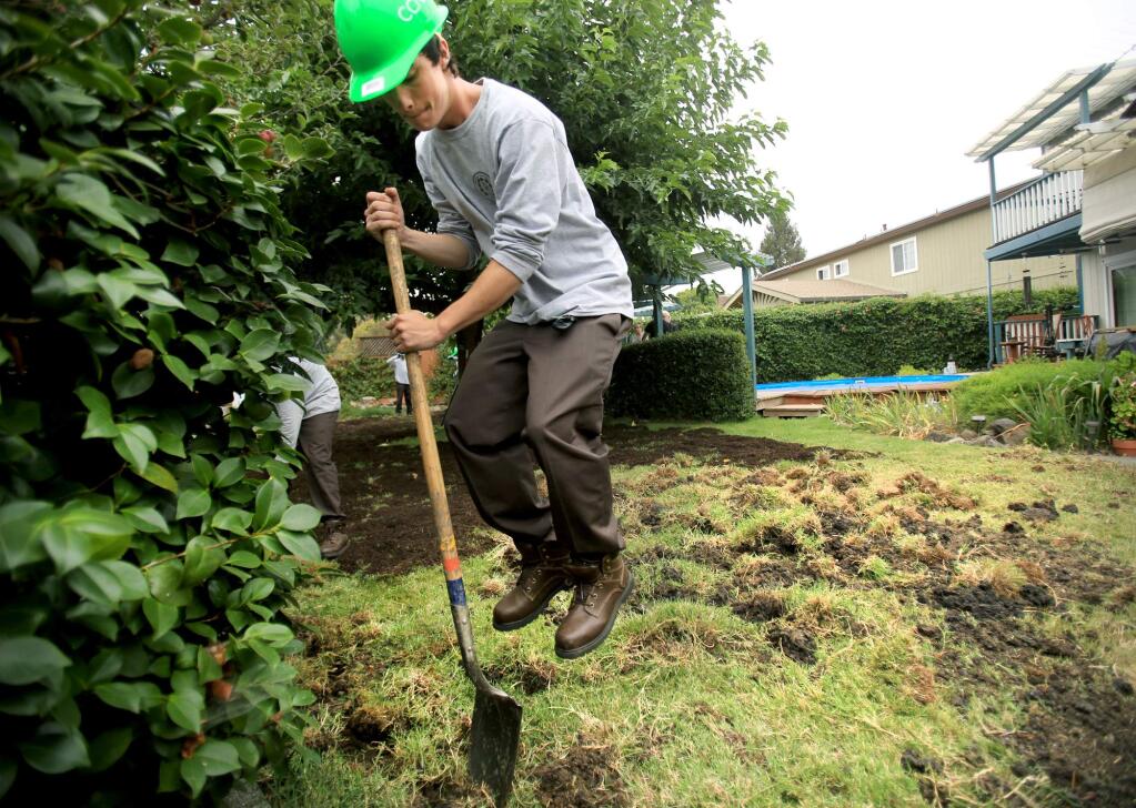 The ground is so hard, Calvin Bartholow, 20, of the Sonoma County Youth Ecology Corps. jumps on his shovel as he and others do away with Davis Grundman's lawn and replace it with drought-resistant plants in Rohnert Park on Tuesday, Aug. 18, 2015. (KENT PORTER/ PD)