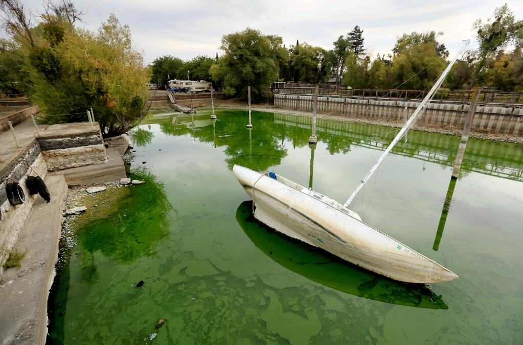 At Trombetta's in Clearlake, the low Clear Lake water level, a victim of the drought, causes a sailboat to list in the mud and brackish algae, Firday Aug. 29, 2014. Over the weekend, the Rumsey Gauge dropped to zero, a measurement used to determine the water level of the lake. (Kent Porter / Press Democrat)