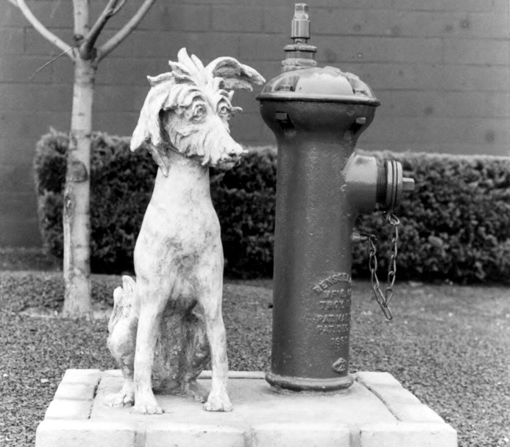 Rosa Estebañez’s statue of an ugly dog, now recast in bronze, is on display at the Sonoma-Marin Fair events office in Petaluma. (Petaluma Regional Library History Room)