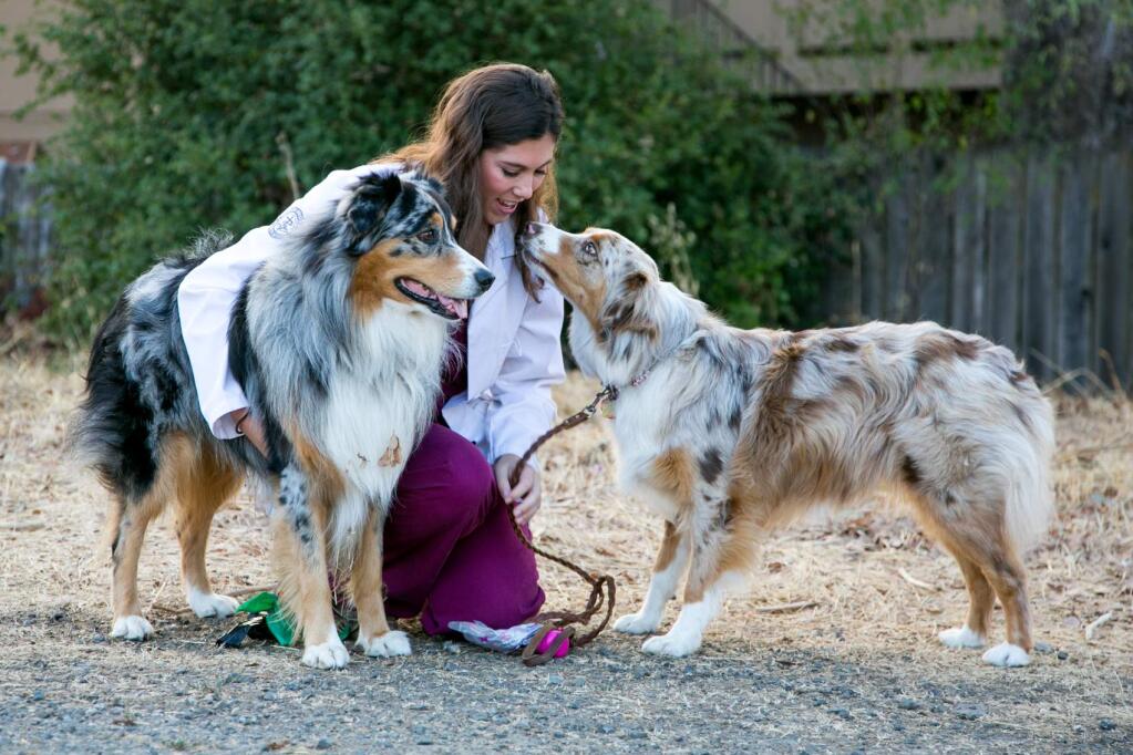 Dr. Alina Amaral, DVM, outside Arroyo Veterinary Hospital in Sonoma with her Australian shepherd dogs, Cinch and Remi, Sept, 20, 2017. (Photo by Julie Vader/special to the Index-Tribune)