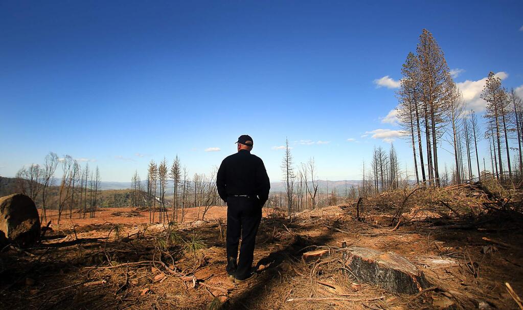 Jim Wright, interim forest manager of the Boggs Mountain State Demonstration Forest for Cal Fire, takes in an almost-unimpeded view of what's left of the forest as timber crews have been felling trees that were burnt by the Valley fire. (Kent Porter / Press Democrat)